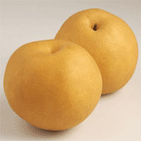 배 15kg